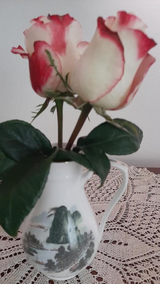 U Mna Doma Apartment Lucatin Bagian luar foto