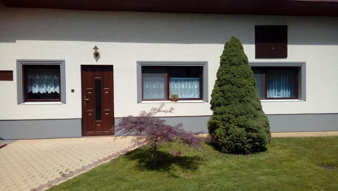 U Mna Doma Apartment Lucatin Bagian luar foto